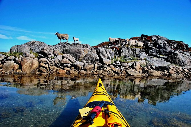Full Day Kayak-Northern Explorer - A guide-led day for mixed ability levels