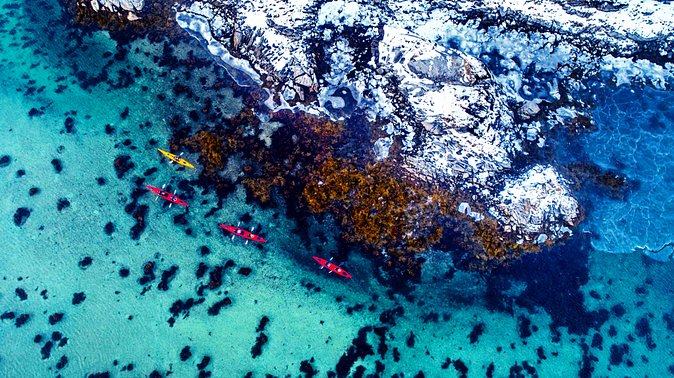 Full Day Kayak-Northern Explorer - Who will enjoy this Eggum kayak trip most