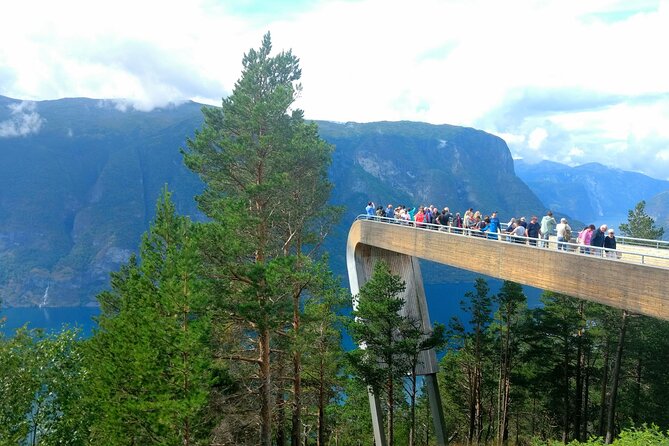Full Day Private Tour to Flam with Pick Up - Flåmsbana turns the return into a scenic train ride