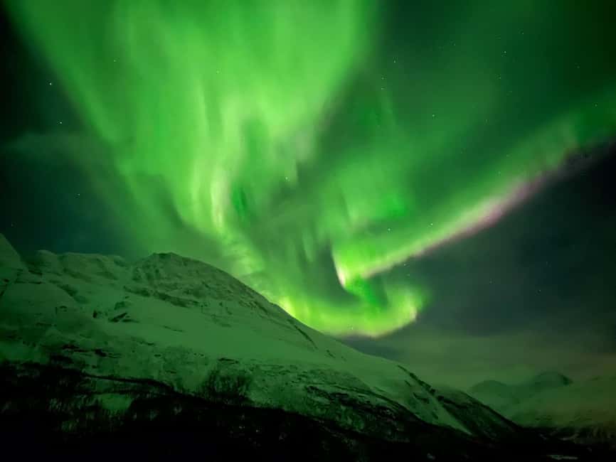 Full Night Magic of the Arctic Lights in Tromso - Why a small minibus helps in Tromsø