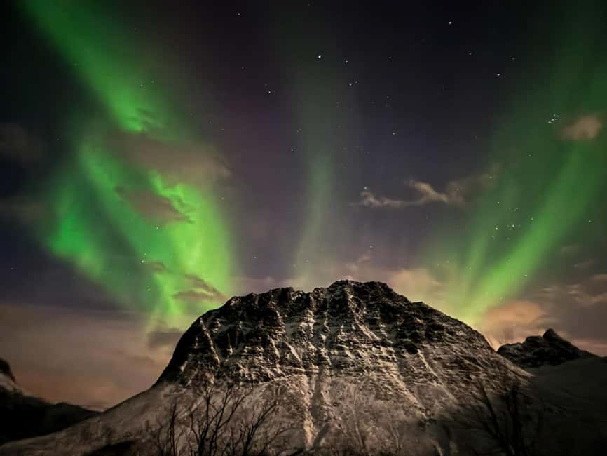 Full Night Magic of the Arctic Lights in Tromso - The aurora itself: beautiful, but never promised