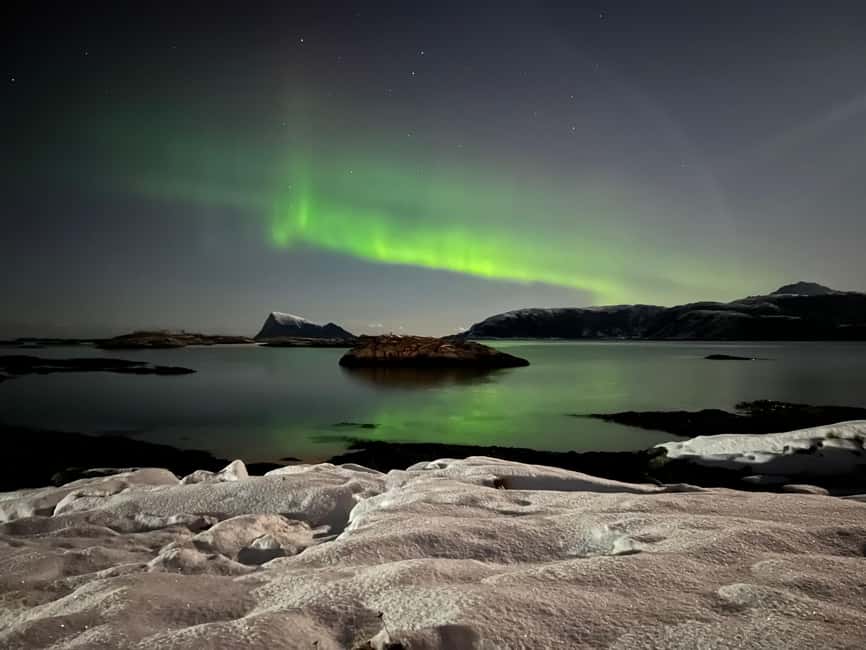 Full Night Magic of the Arctic Lights in Tromso - Who will enjoy this five-hour search