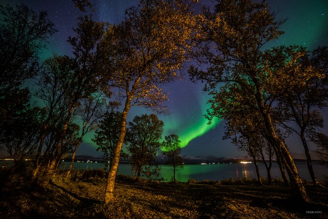 Full Night Magic of the Northern Lights in Tromso - Key points at a glance