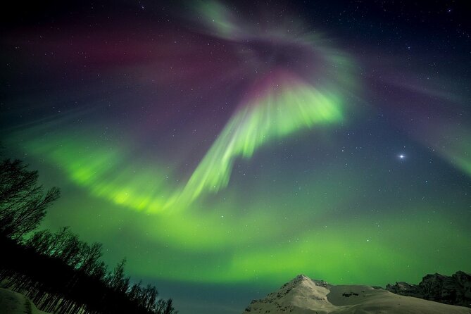 Full Night Magic of the Northern Lights in Tromso - Is $180.94 a fair price?