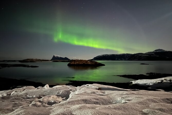 Full Night Magic of the Northern Lights in Tromso - Guide quality can shape the whole night