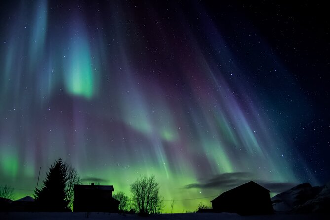 Full Night Magic of the Northern Lights in Tromso - Who should book this Tromso aurora tour?