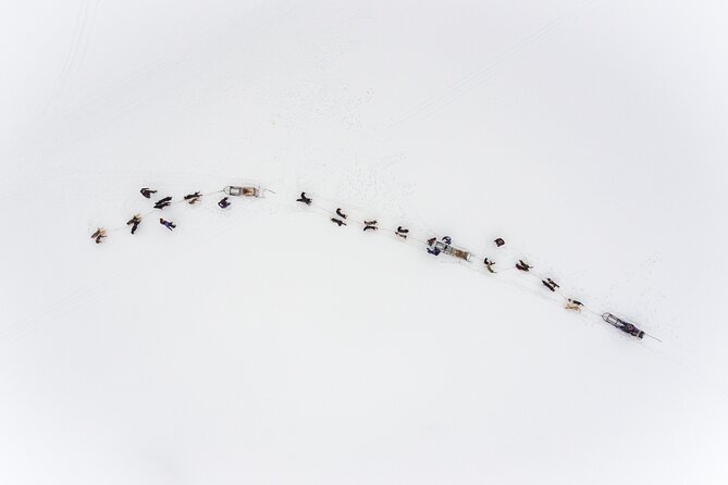 Fun & Easy Dog Sledding Adventure from Tromsø - Early Bird Tour - Coffee, cake, and a warm finish