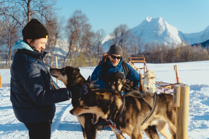 Fun & Easy Dog Sledding Adventure from Tromsø - Noon Tour - Price and value at $289.03