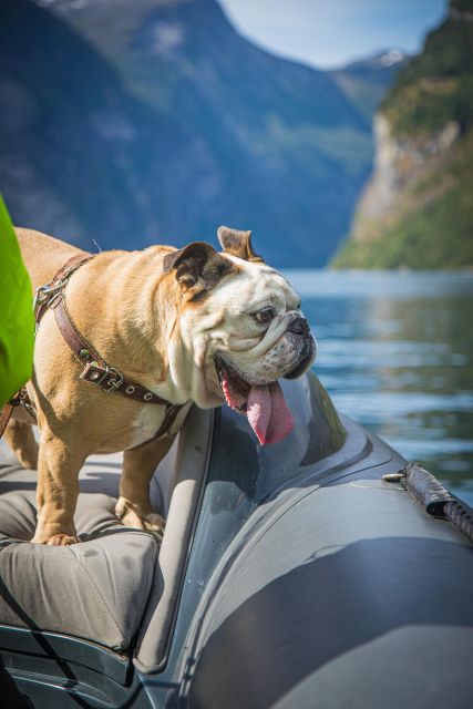 Geiranger: Guided Geirangerfjord Boat Tour - Is $88 a fair price?