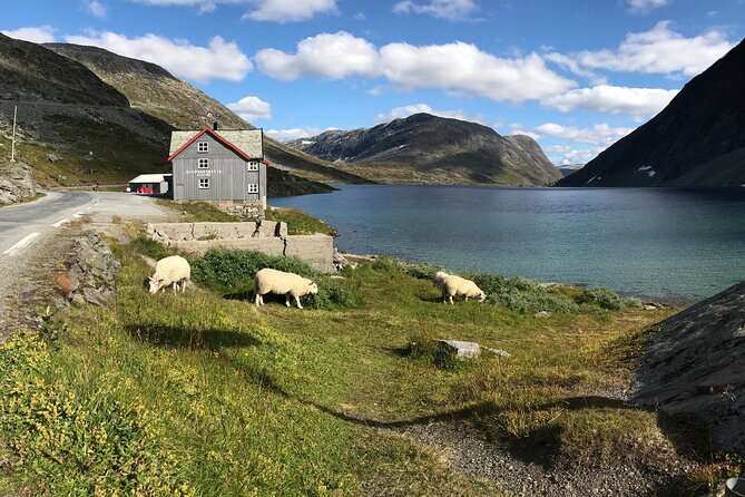 Geiranger: Sky to Fjord Downhill Biking Adventure - The equipment deserves a careful inspection