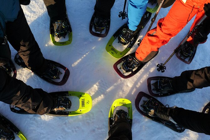 Guided easy snowshoeing with a visit to local café - Key points at a glance