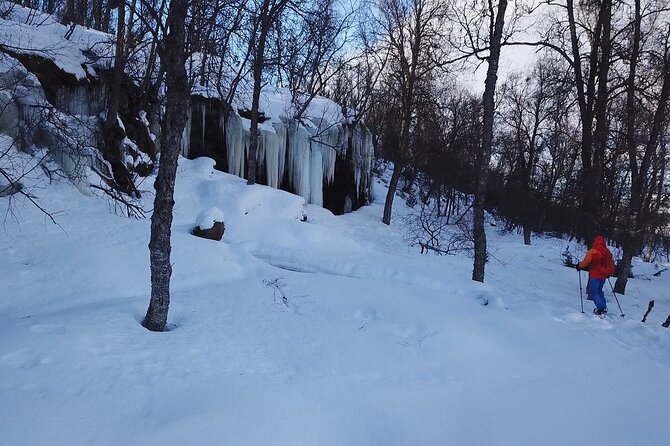 Guided easy snowshoeing with a visit to local café - Getting comfortable in snowshoes