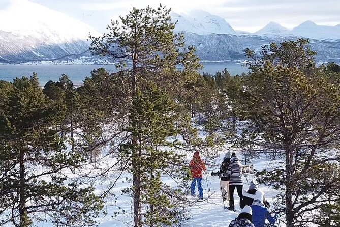 Guided easy snowshoeing with a visit to local café - A route for first-time snowshoers