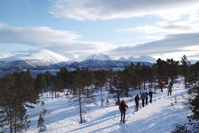 Guided easy snowshoeing with a visit to local café - Who will enjoy this Tromsø winter outing?