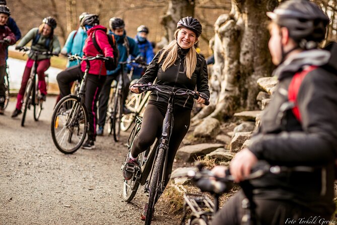 Guided EL-Bike tour in the city of Haugesund and Coastal path - The Rising Tides horses and Harald Hårfagre