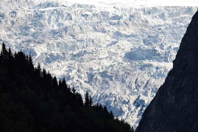 Guided Fjord & Glacier Tour - From BERGEN - What this Bergen tour is really offering