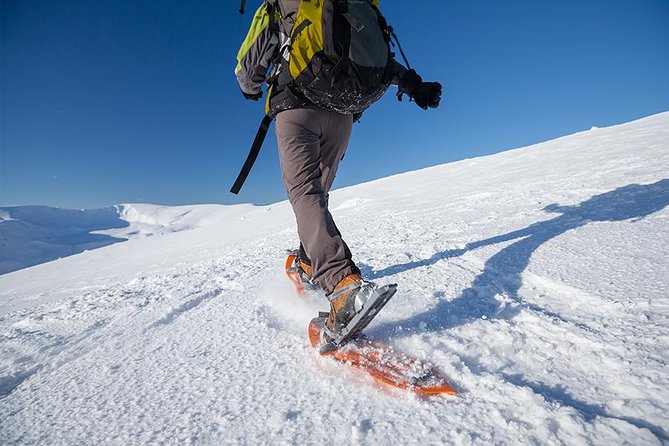 Guided Morning Snowshoe Hike with Huskies - Key points at a glance