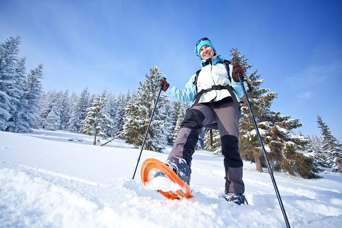 Guided Morning Snowshoe Hike with Huskies - Who should book this snowshoe outing?