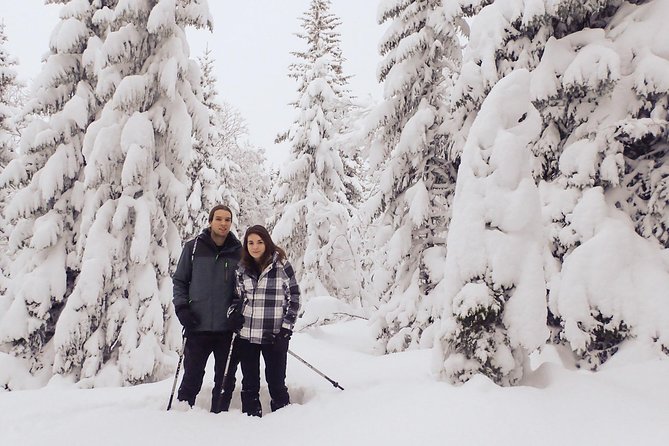 Guided Snowshoe Walk on Tromsoya Island in Tromso - Key points at a glance