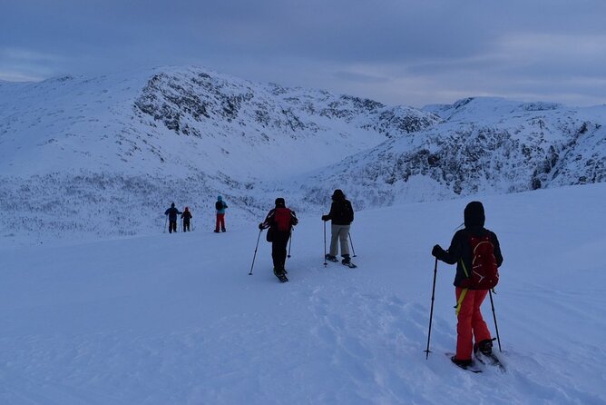 Guided Snowshoe Walk on Tromsoya Island in Tromso - What to wear and what the tour does not provide