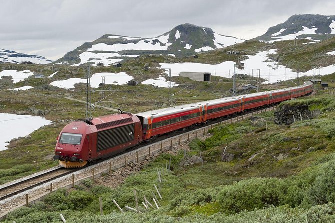 Guided tour - Viking Village, Nærøyfjord Cruise and Flåm Railway - Kjosfossen and the Flåm Railway