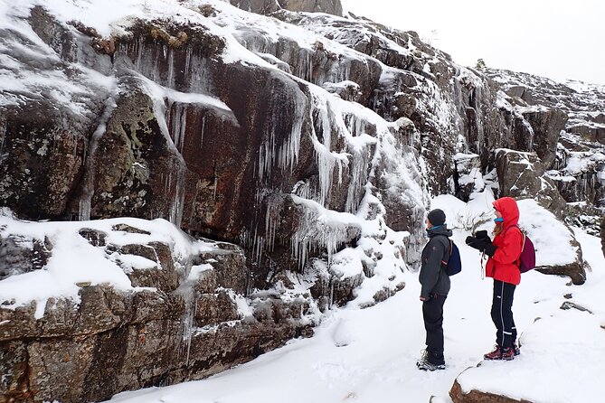 Guided winter hike to Pulpit Rock Preikestolen - What the $149.35 price really covers