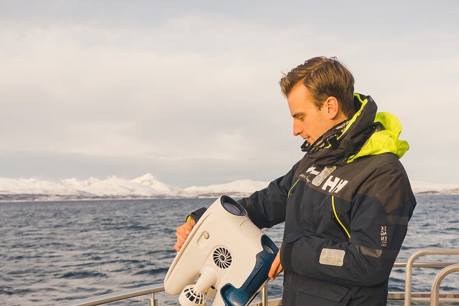 Half Day Arctic Fjord Cruise from Tromso - Five things to know before you sail