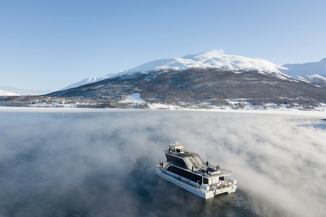 Half Day Arctic Fjord Cruise from Tromso - What this Tromso fjord cruise actually gives you