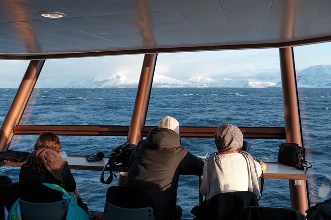 Half Day Arctic Fjord Cruise from Tromso - Who will enjoy this cruise most?