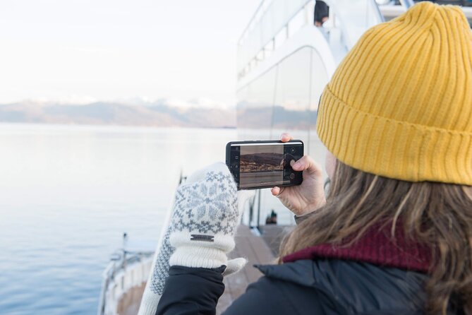 Half Day Arctic Fjord Cruise from Tromso - Boarding at Kaigata 6 in central Tromso