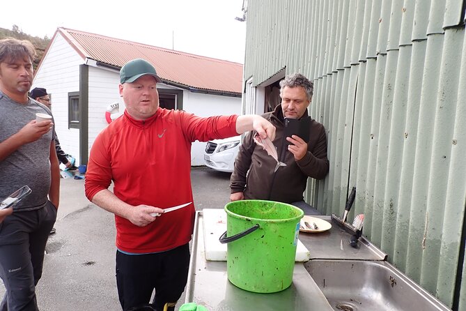Half Day Fishing and Outdoor Cooking in Bergen - Crab traps, shrimp, and seaweed add variety