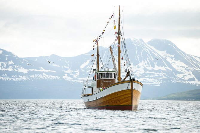 Half-Day Fishing & Fjord Cruise Adventure from Tromsø in Norway - Fishing for cod in Tromsø’s coastal waters