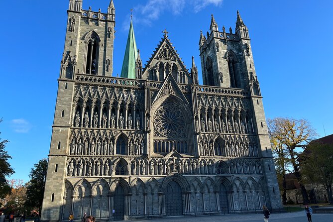 Half-Day Highlights of Trondheim by Bus and City Walk - Byåsen and the Sverresli viewpoint
