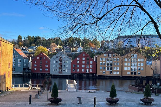 Half-Day Highlights of Trondheim by Bus and City Walk - Nidaros Cathedral, the tour’s major landmark