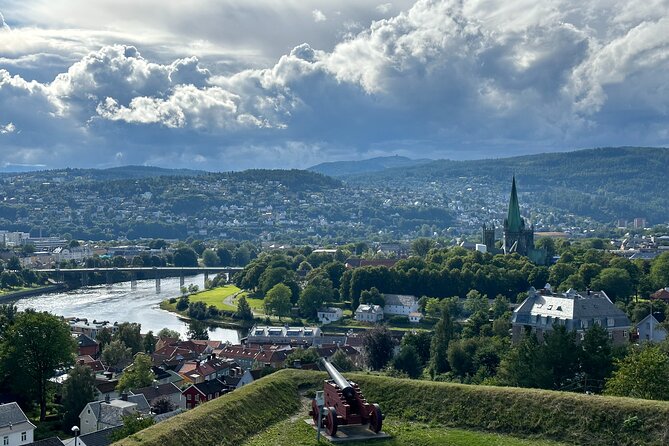 Half-Day Highlights of Trondheim by Bus and City Walk - Starting at Pirbadet near the cruise quay