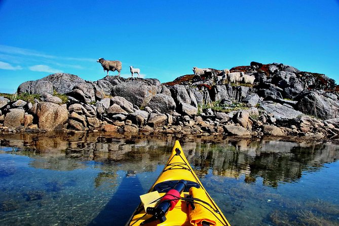 Half Day Kayak - Northern Explores AS - Timing, meeting point, and cancellation details
