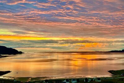 Half-Day Scenic Wildlife & Photographic Fjord Tour.