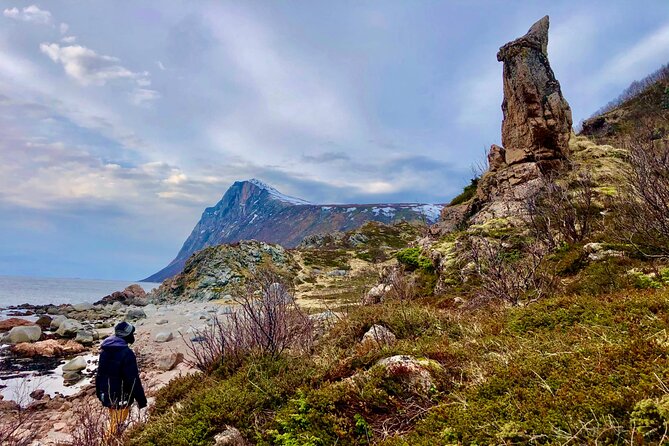 Half-Day Scenic Wildlife & Photographic Fjord Tour. - Snacks, comfort, and winter footing