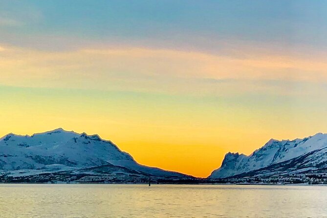Half-Day Scenic Wildlife & Photographic Fjord Tour. - Is $193.31 a fair price?