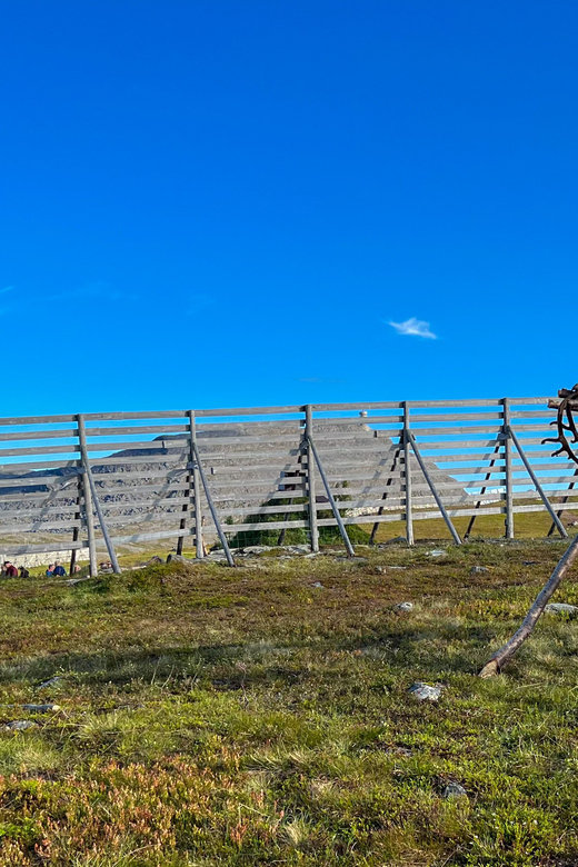 Hammerfest: Guided Tour - Meet Reindeer - Key things to know before visiting