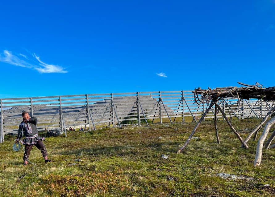 Hammerfest: Guided Tour - Meet Reindeer - Why this short Hammerfest tour feels different