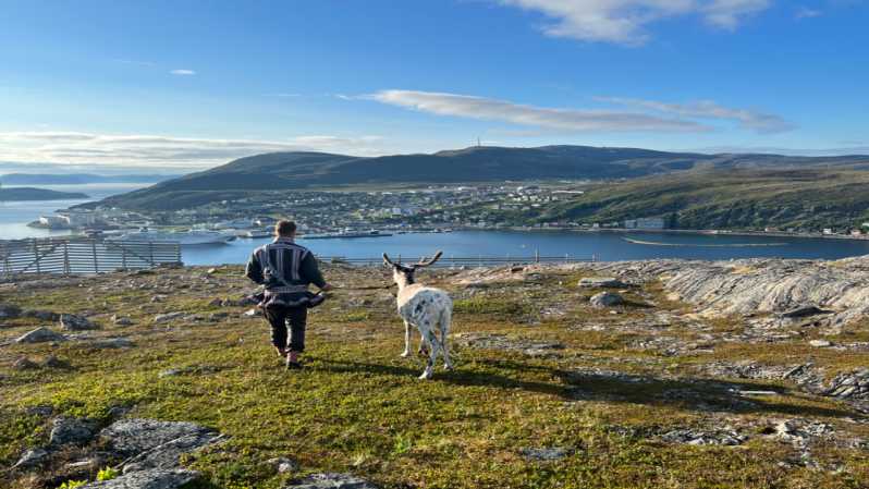 Hammerfest: Guided Tour - Meet Reindeer - The first 20 minutes: arriving at the reindeer camp