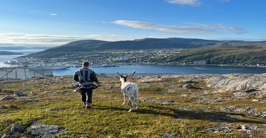 Hammerfest: Guided Tour - Meet Reindeer - Inside the lavvu: fire, hides, and joik