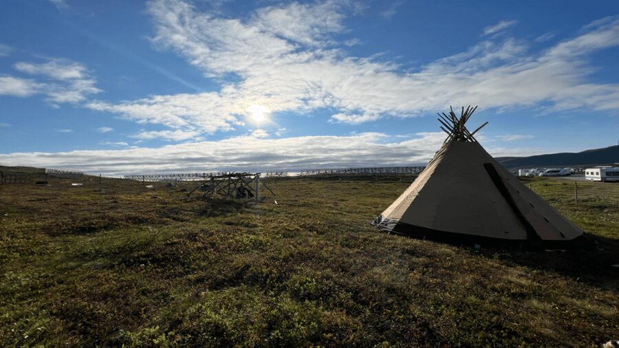 Hammerfest: Guided Tour - Meet Reindeer - Is $157 per person good value?