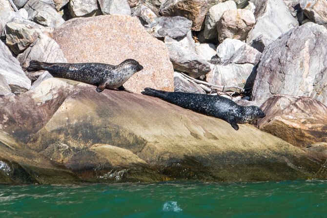 Hardangerfjord Ultimate RIB adventure from Ulvik - Starting at Promenaden 3 in Ulvik