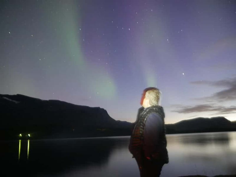 Harstad/Narvik/Tjeldsund: Northern Lights Sightseeing by Car - Why the guide matters so much