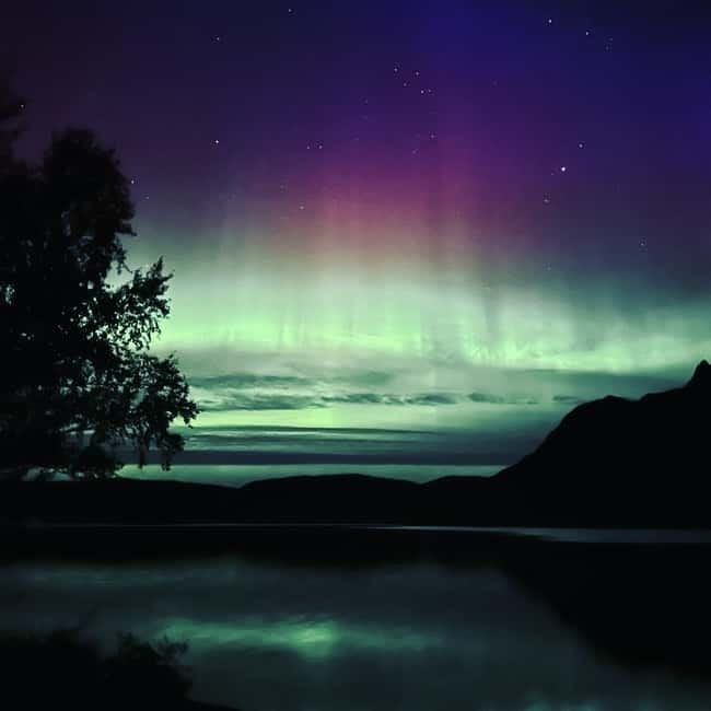 Harstad/Narvik/Tjeldsund: Northern Lights Sightseeing by Car - What the 4.5-hour schedule can look like