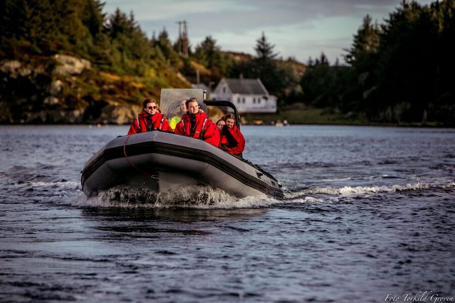 Haugesund: RIB Safari to the island communities - Practical value for cruise passengers