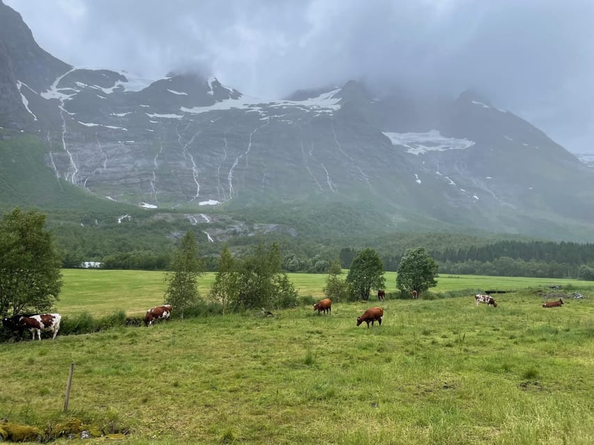 Hellesylt to Norangsdalen: Scenic E-Bike Tour - Who Will Enjoy This Ride Most?