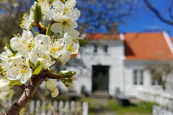 Highlights of the Region -City/Skudenes/Avaldsnes Guided Bustour - Quick points before you book